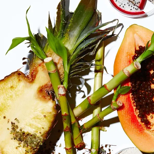 Youth To The People Yerba Mate Resurfacing Energy Facial 59ml